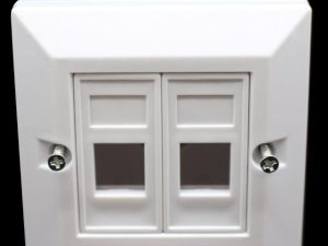 קופסאת פלסטיק לשני מחברים RJ-45 Plastic box Cat5